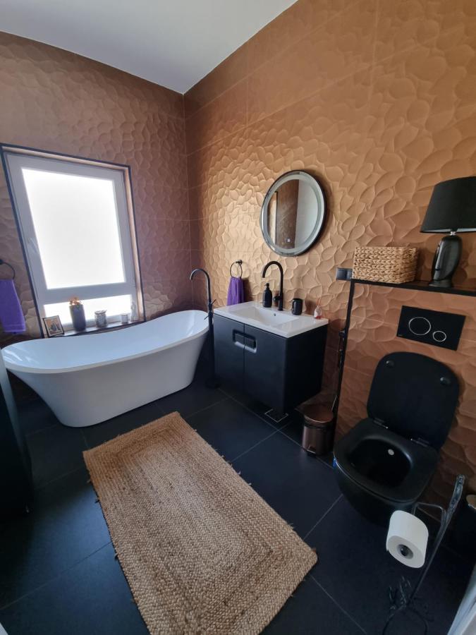 Angels Penthouse Residence Sibiu Extérieur photo